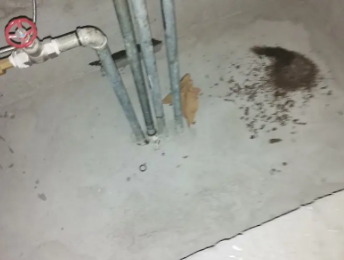 商州卫生间测漏水价格明细